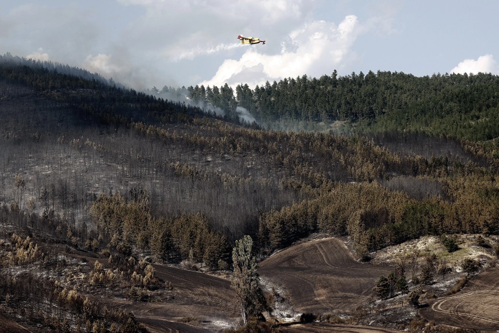 Imagen de archivo de un incendio forestal en Olloki en 2023