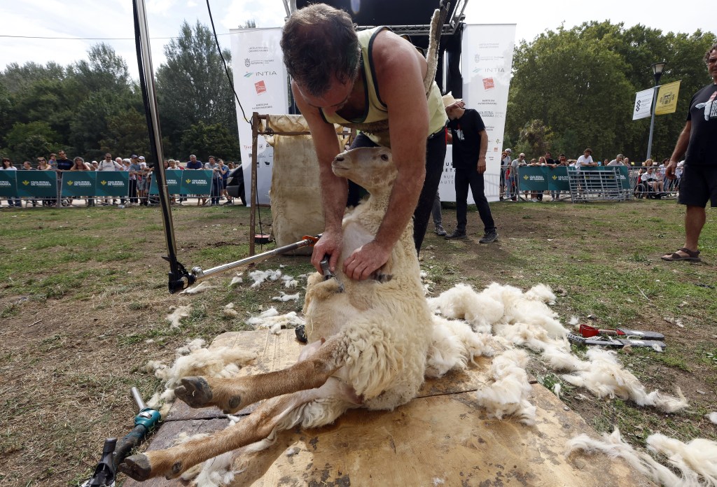 Imagen de la Feria de Razas Autóctonas, ‘Auténtika’, celebrada en Pamplona