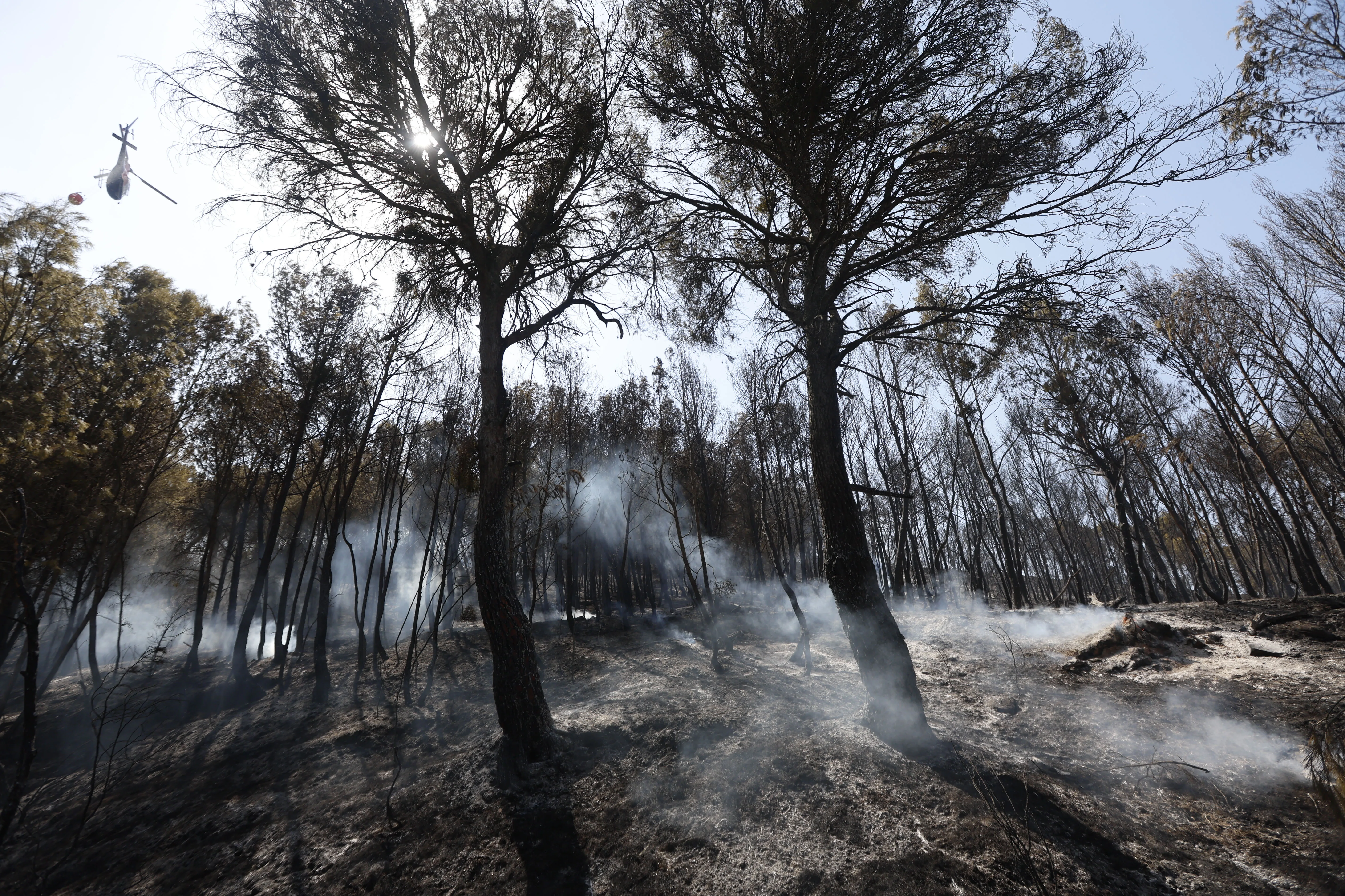 Imagen de archivo de un incendio forestal en Carcastillo en agosto
