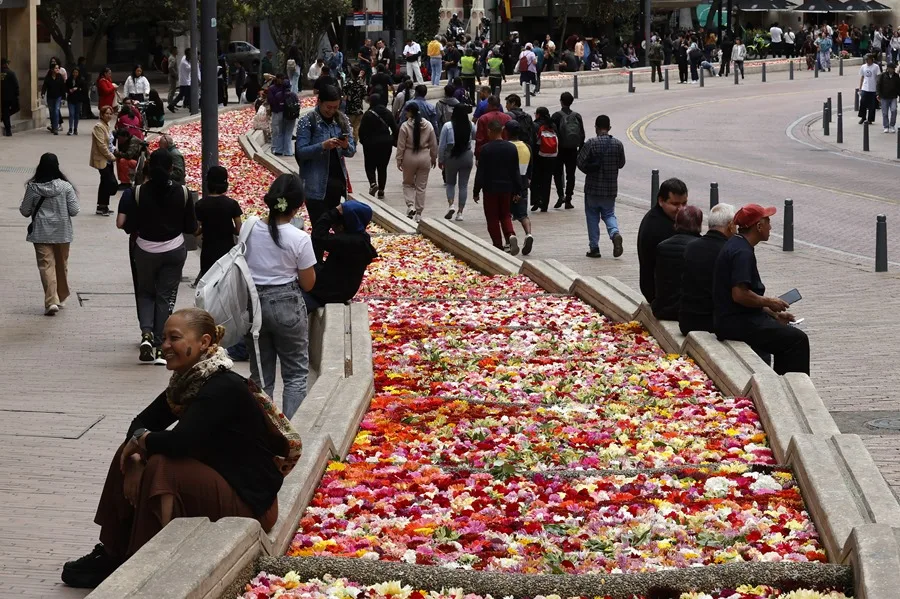 Personas observan un río con 150.000 flores en el eje ambiental, como antesala de la inauguración de la primera edición de la Bienal Internacional de Arte y Ciudad BOG25 este sábado, en Bogotá (Colombia). EFE/ Mauricio Dueñas Castañeda