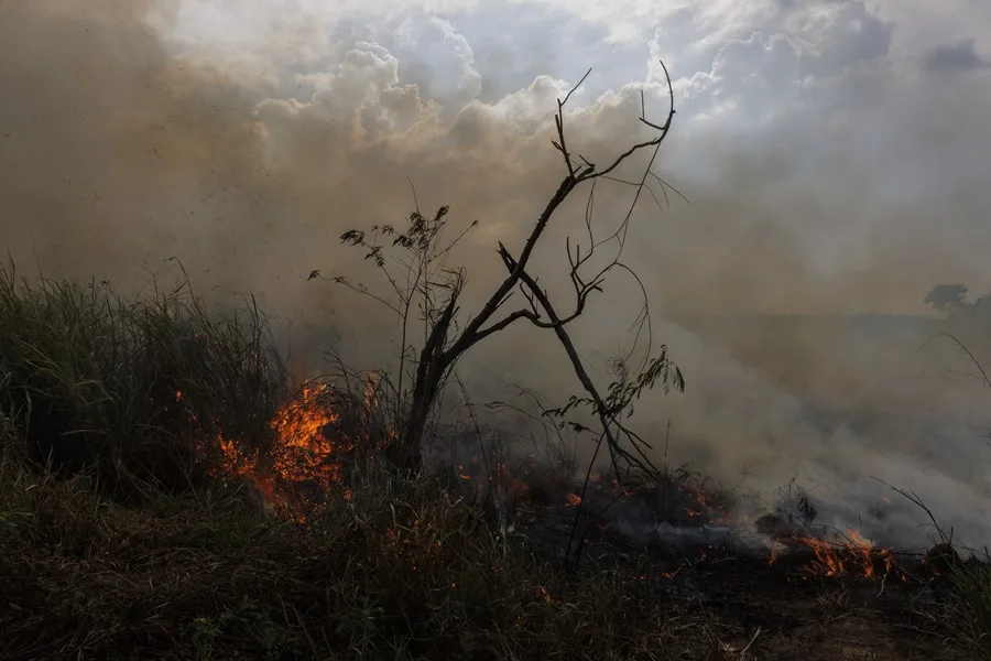 Quemas controladas y un clima más ameno: cómo Brasil redujo los incendios en la Amazonía