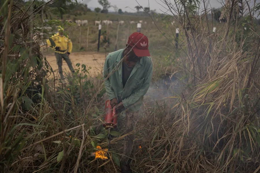 Quemas controladas y un clima más ameno: cómo Brasil redujo los incendios en la Amazonía