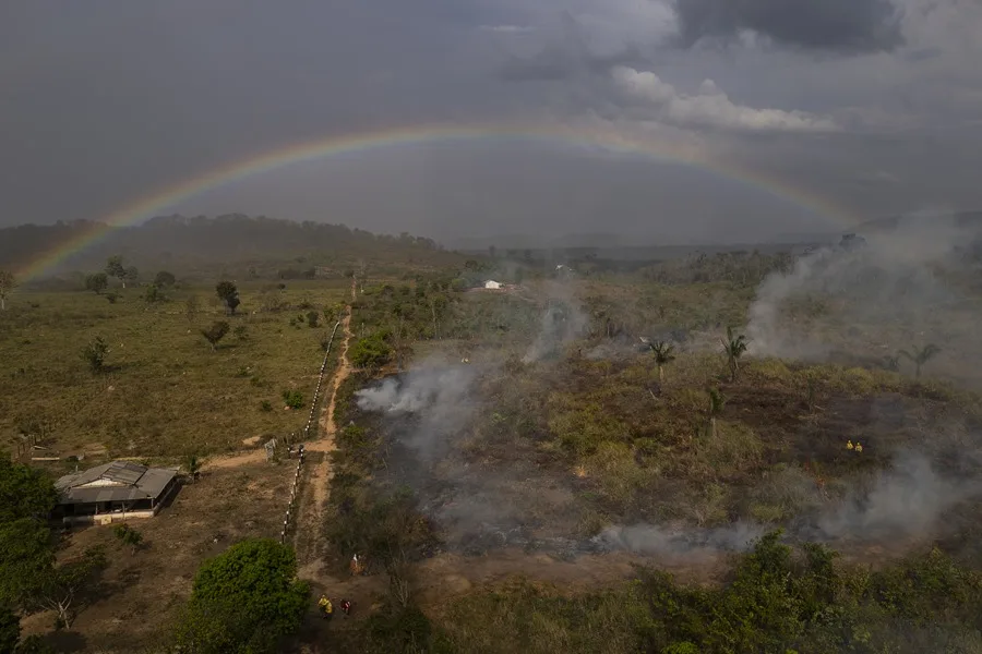 Quemas controladas y un clima más ameno: cómo Brasil redujo los incendios en la Amazonía