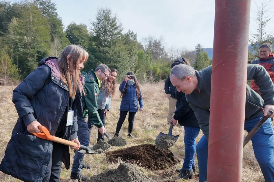 Los esfuerzos de Chile y Argentina para devolver el extinto huemul a la cordillera de Los Andes