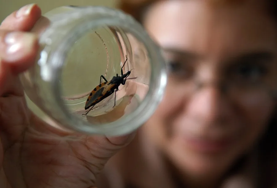 EE.UU. confirma que la enfermedad de Chagas es ya endémica y se expande a 32 estados