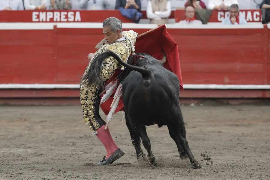 La Corte Constitucional del Colombia avala la ley que prohíbe las corridas de toros y las peleas de gallos