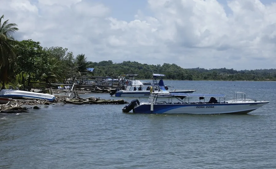 Forzados a volver del sueño americano