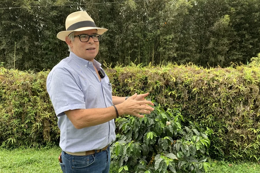 Frajares, un templo del café de especialidad en el Chocó Andino de Ecuador
