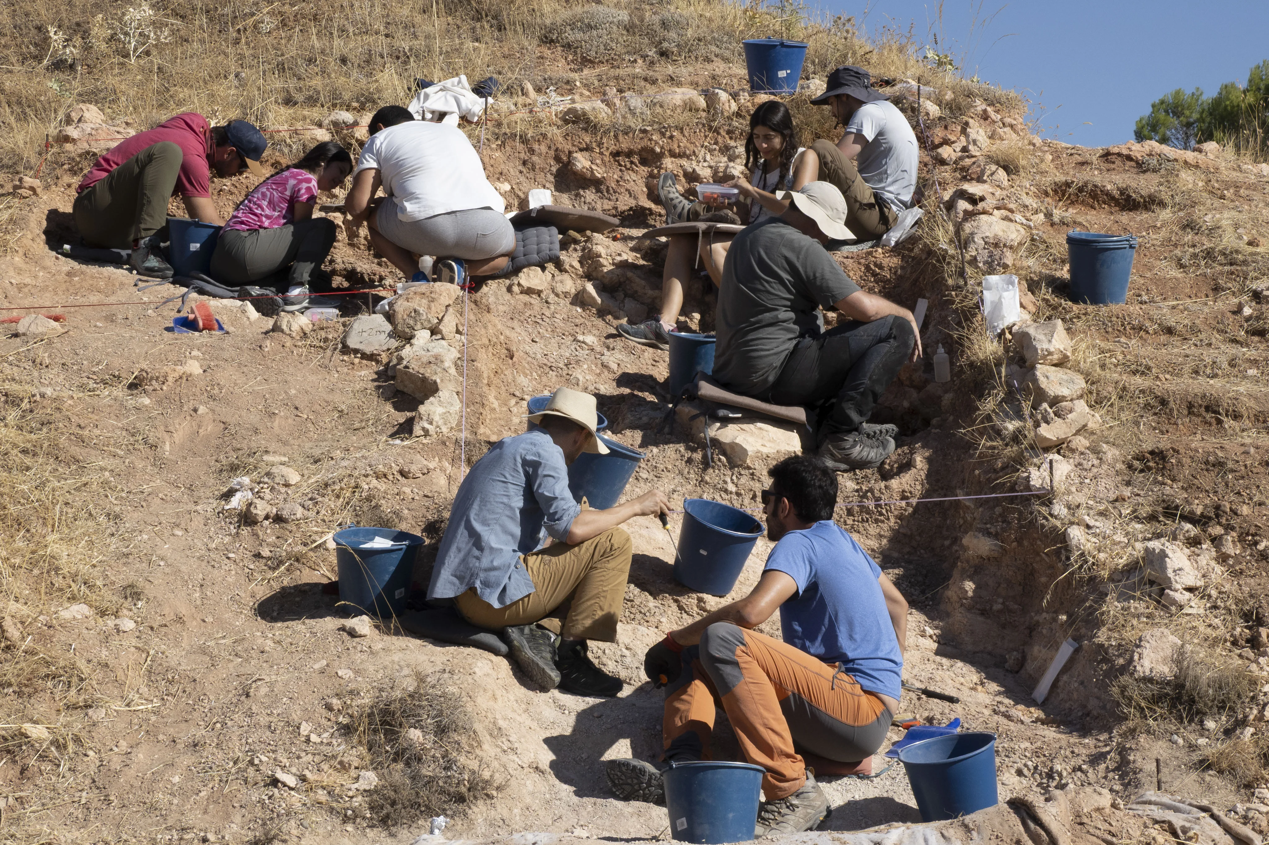 Investigadores buscan fósiles de animales carnívoros de hace 30 millones de años en dos yacimientos de Cuenca