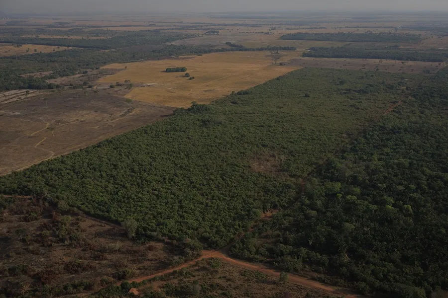 Nuevos indicios vinculan al gigante cárnico brasileño JBS con la deforestación de la Amazonía