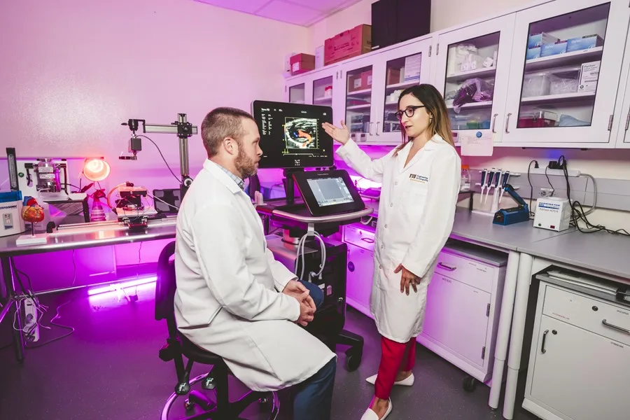 Científicos de EE.UU. crean una IA que busca prevenir infartos oyendo los latidos