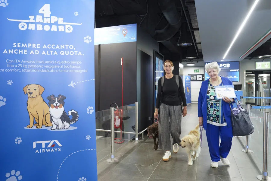 Italia realiza el primer vuelo comercial con transporte de perros de gran tamaño. En la imagen, La aerolínea ITA Airways realizó este martes el primer vuelo en Italia con perros de gran tamaño en cabina. EFE/ Aeropuerto de Roma