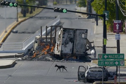 Sinaloa Violencia