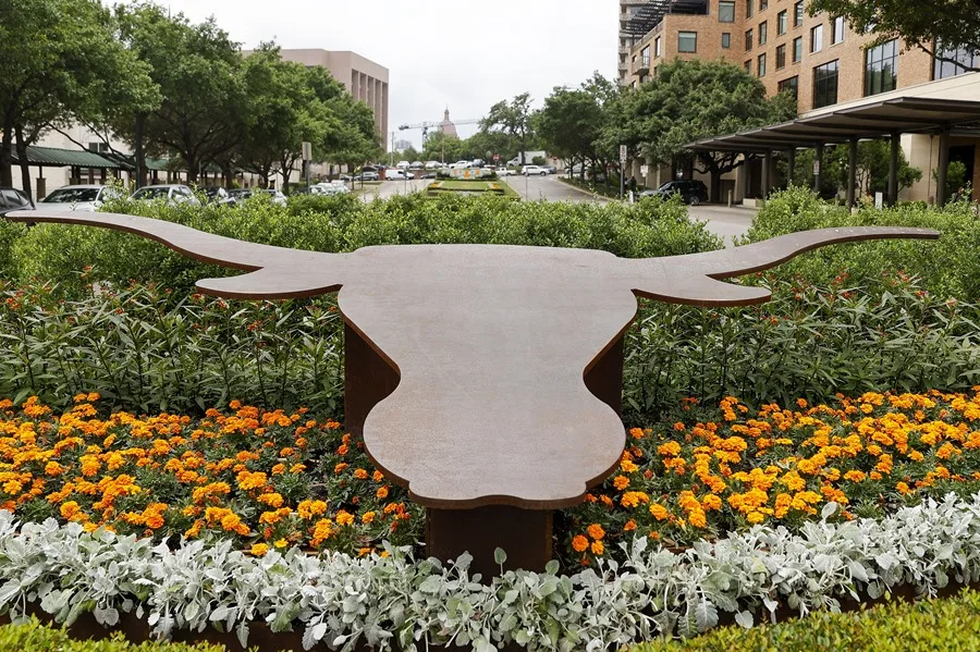 Universidad Texas Transgénero