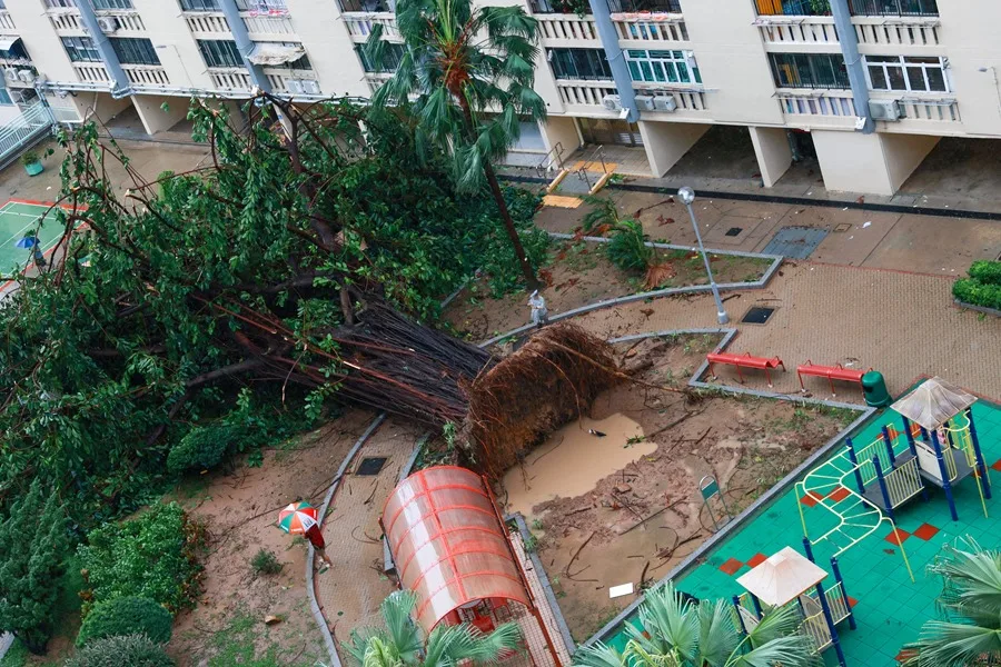 El supertifón Ragasa toca tierra en el principal polo industrial de China