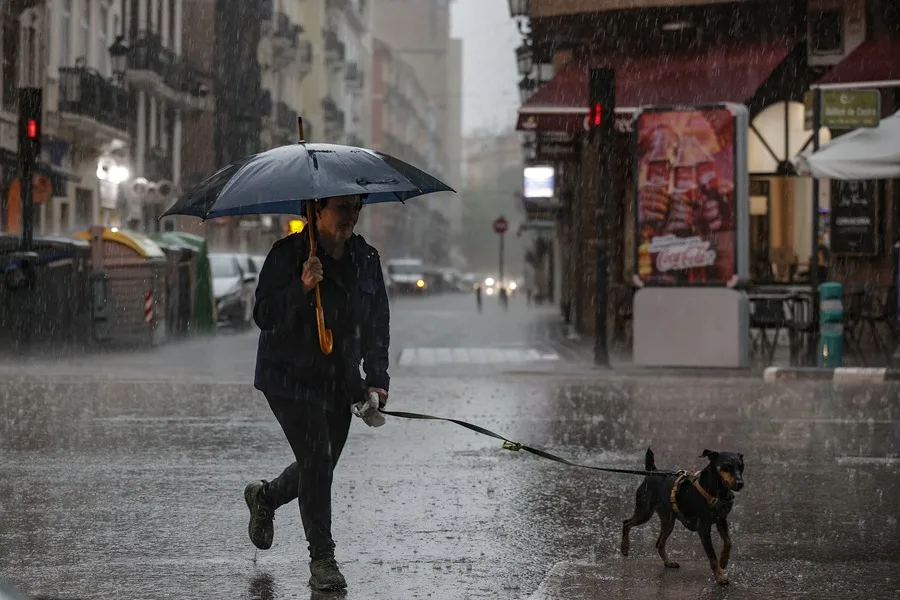 Una mujer pasea al perro bajo la lluvia en València.