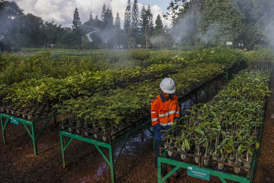 Unión Europea Indonesia acuerdo