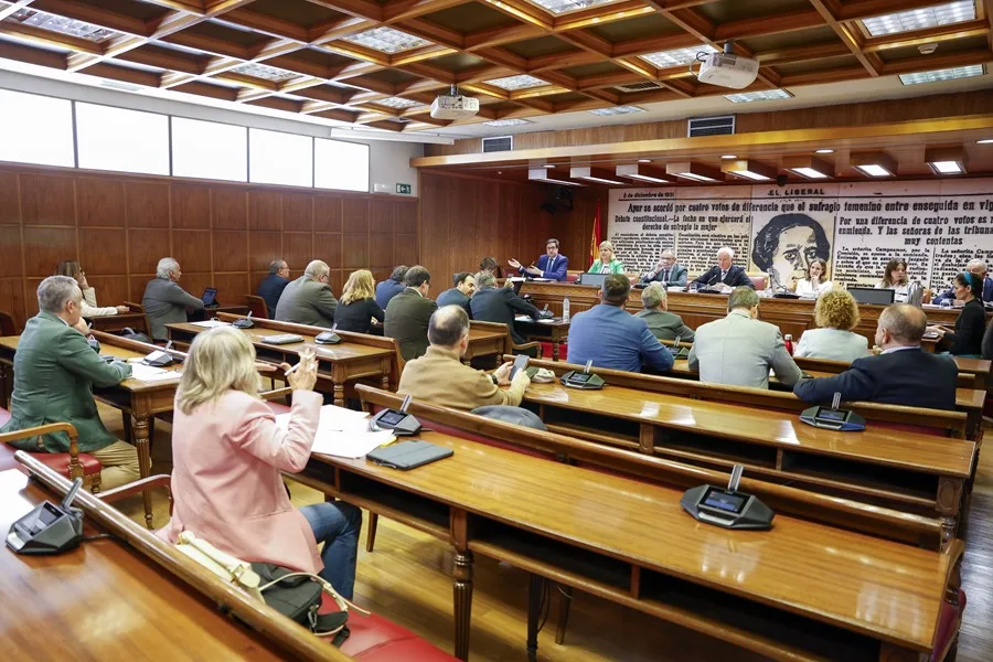 comisión Koldo Senado