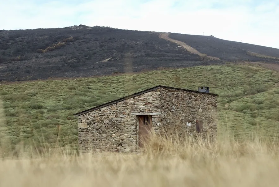 Vista del paisaje tras el paso de un incendio forestal en Zamora. 