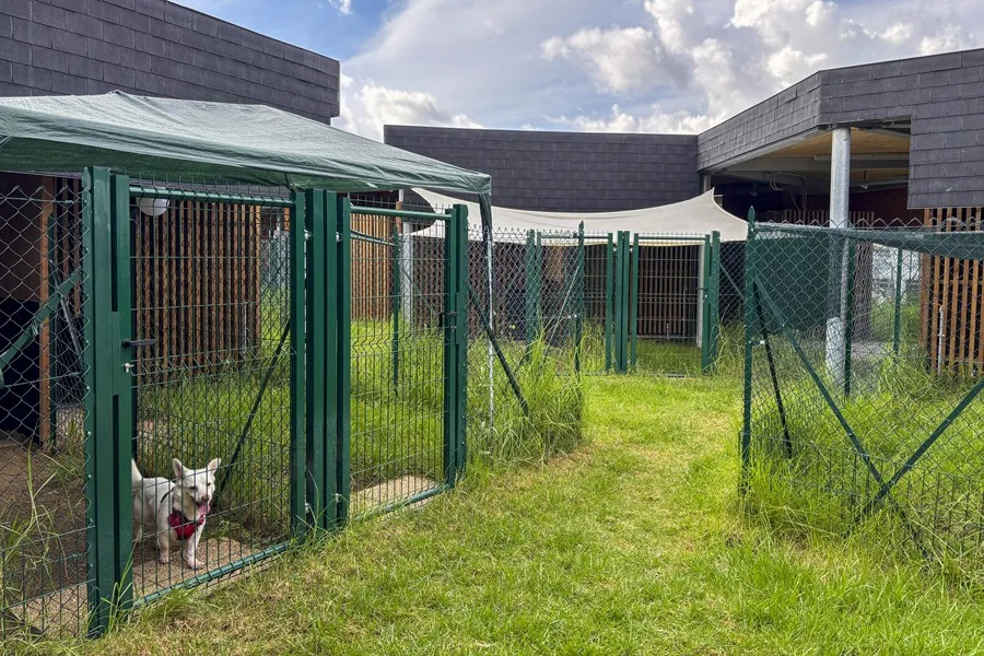 Dog Relais (en la imagen), el nuevo hotel exclusivo para perros en el principal aeropuerto de Roma.