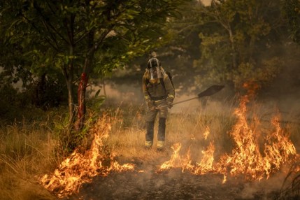 Un bombero forestal realiza labores de extinción en un incendio en Ourense.