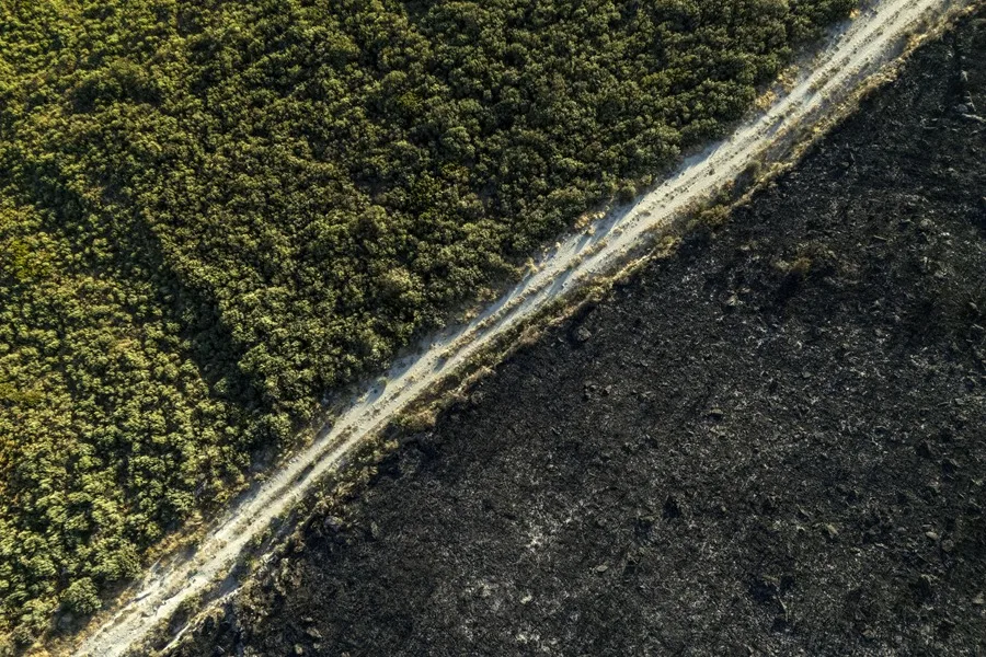 Vista aérea de la superficie calcinada por el incendio forestal en A Mezquita (Ourense).