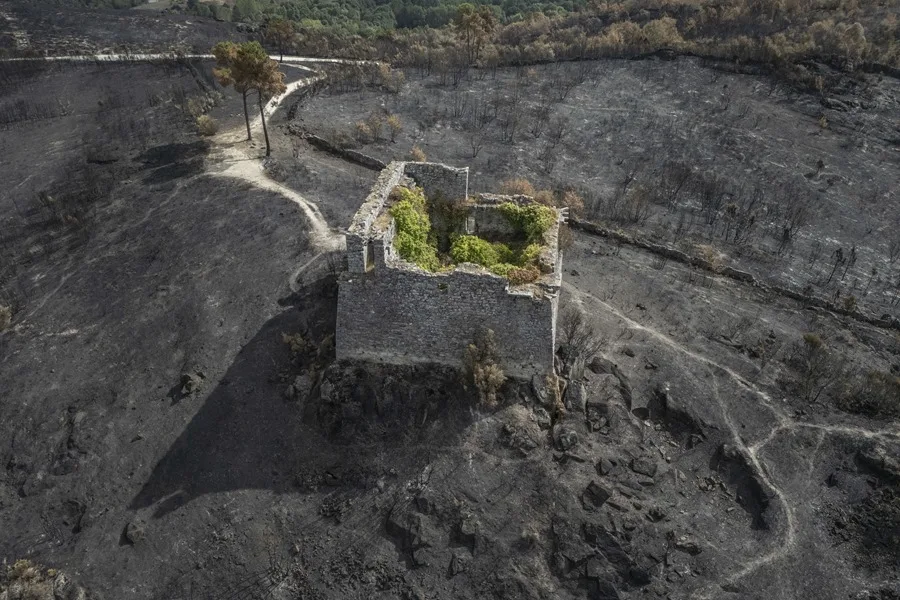 INCENDIOS FORESTALES