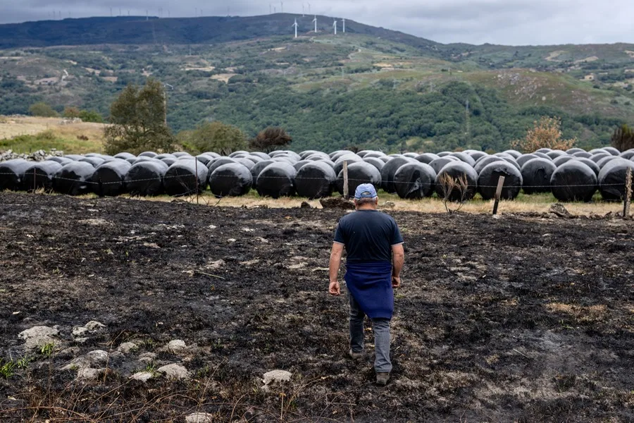 INCENDIOS FORESTALES