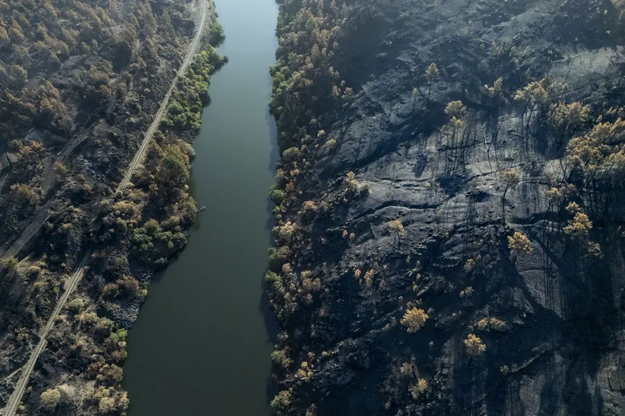 efectos incendios Galicia