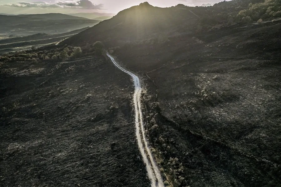 incendios investigación Guardia Civil Seprona