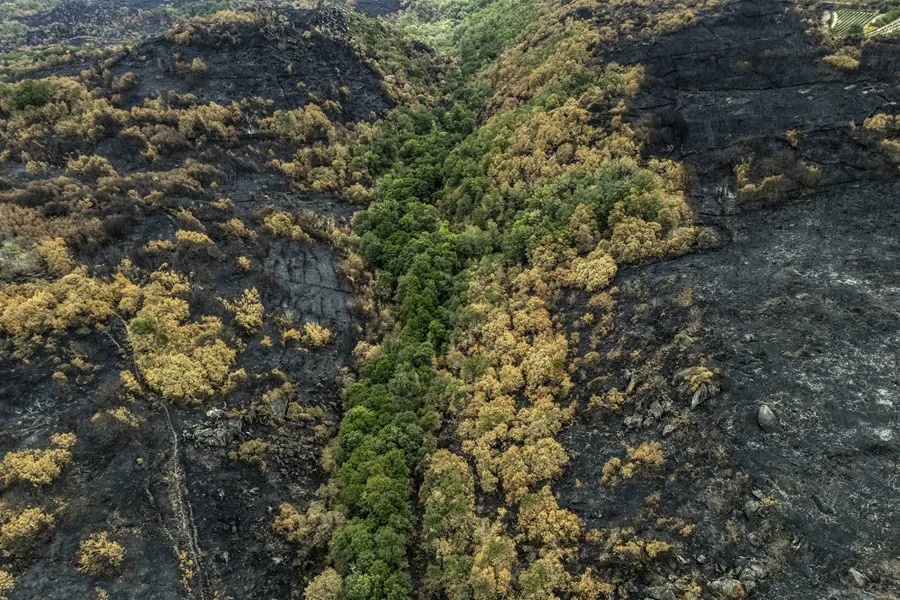 INCENDIOS FORESTALES GALICIA