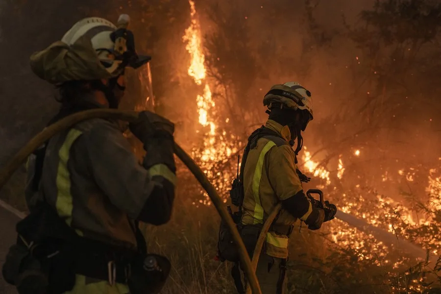 INCENDIOS FORESTALES