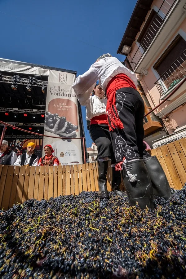ribera del duero