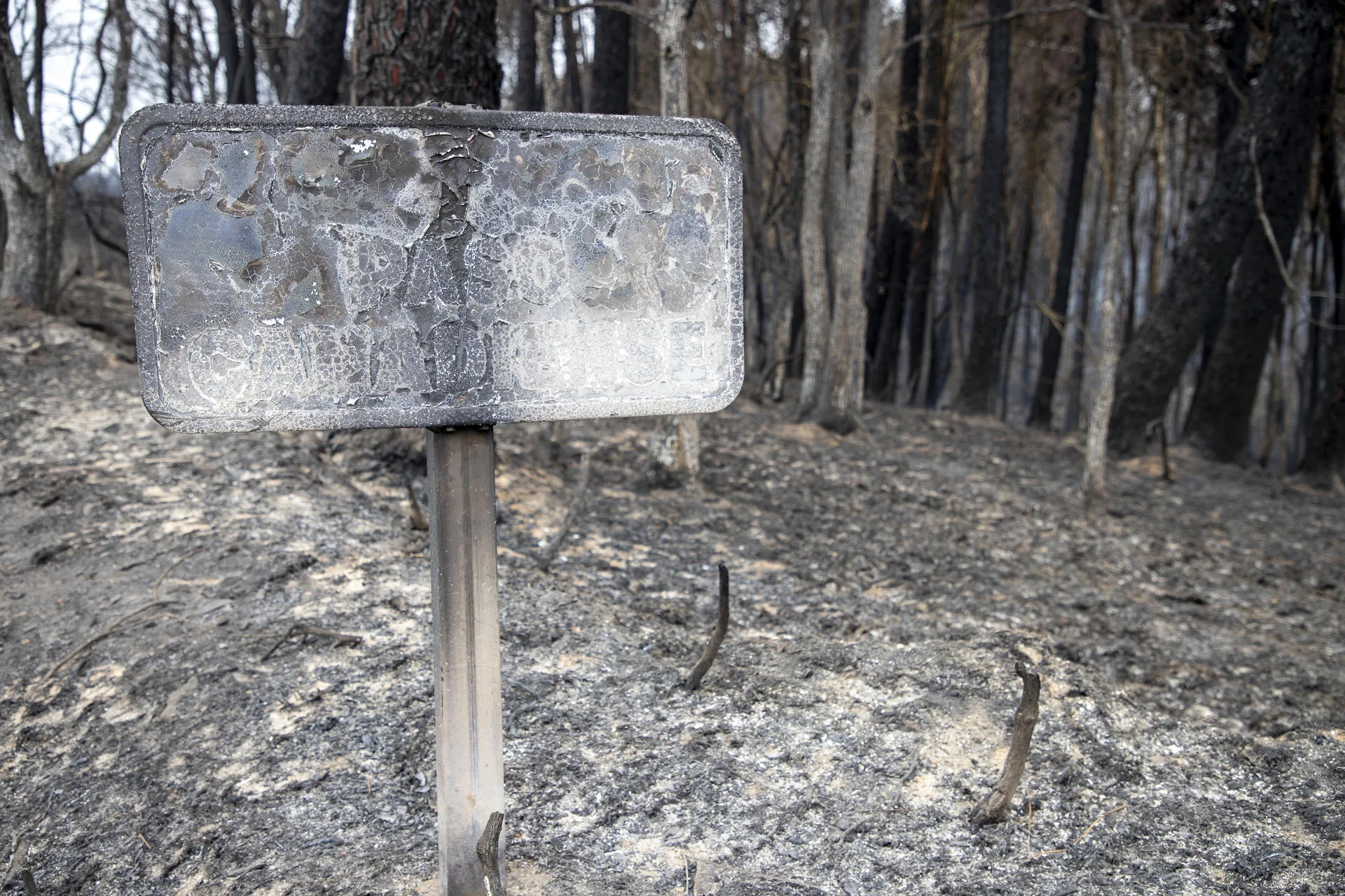 El avance de las llamas en el incendio que asola a los municipios lucenses de Pantón y Sober.