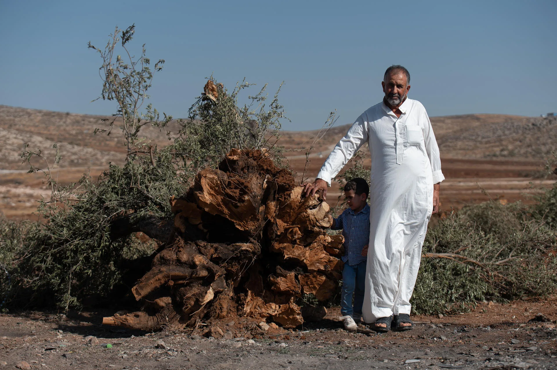 Said Hussan Abu Alia, a 64-year-old resident of Al Mughair, poses for a photo with his grandson next to one of the trees cut down by Israeli settlers accompanied by soldiers. EFE/Magda Gibelli