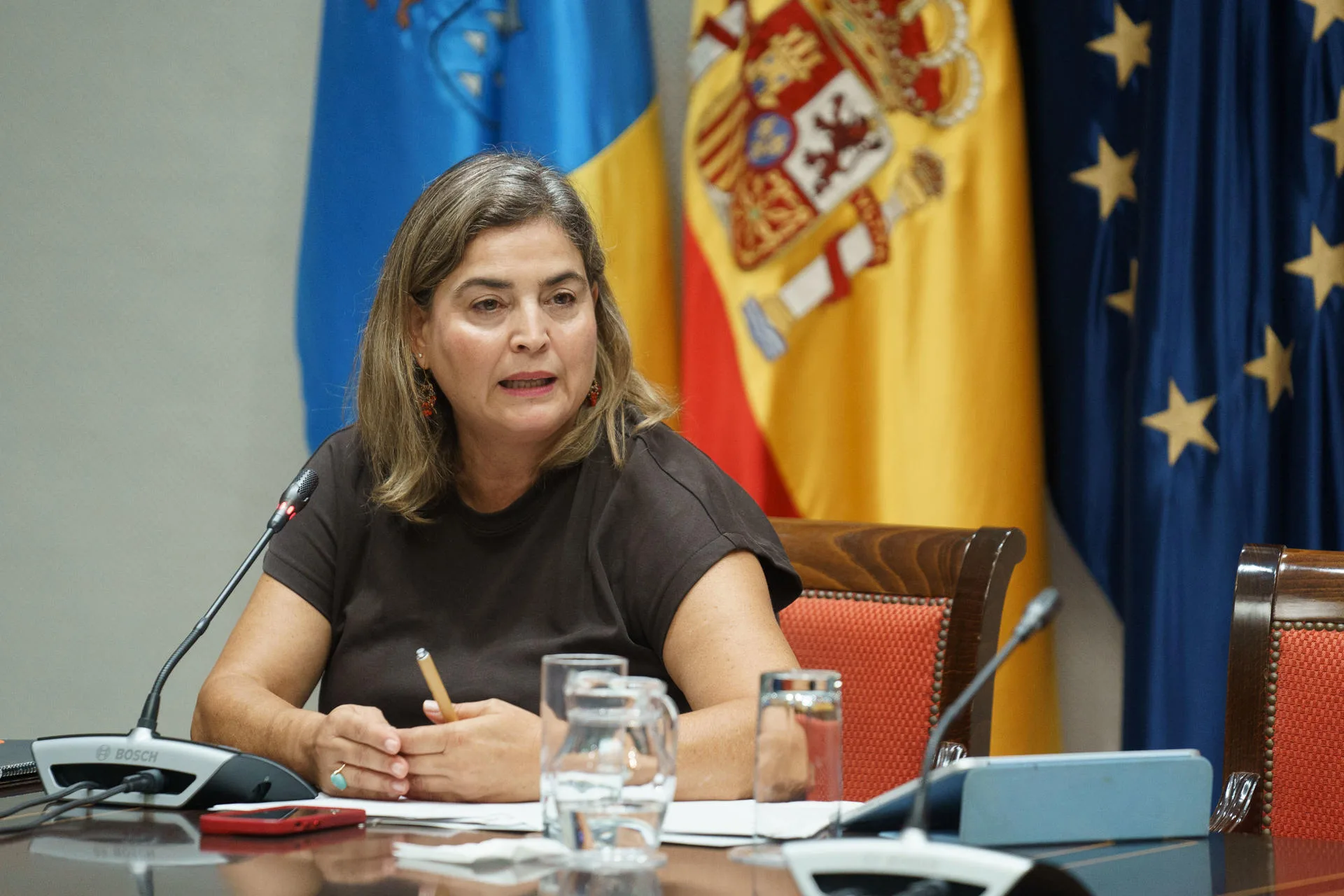 La administradora general de Radiotelevisión Canaria, María Méndez, comparece este lunes en el Parlamento para hacer balance del primer semestre de 2025 respecto a gestión, contenidos y audiencia del ente público, y responder a preguntas de los diputados sobre la dimisión del director de Informativos, Paco Luis Quintana. EFE/Ramón de la Rocha