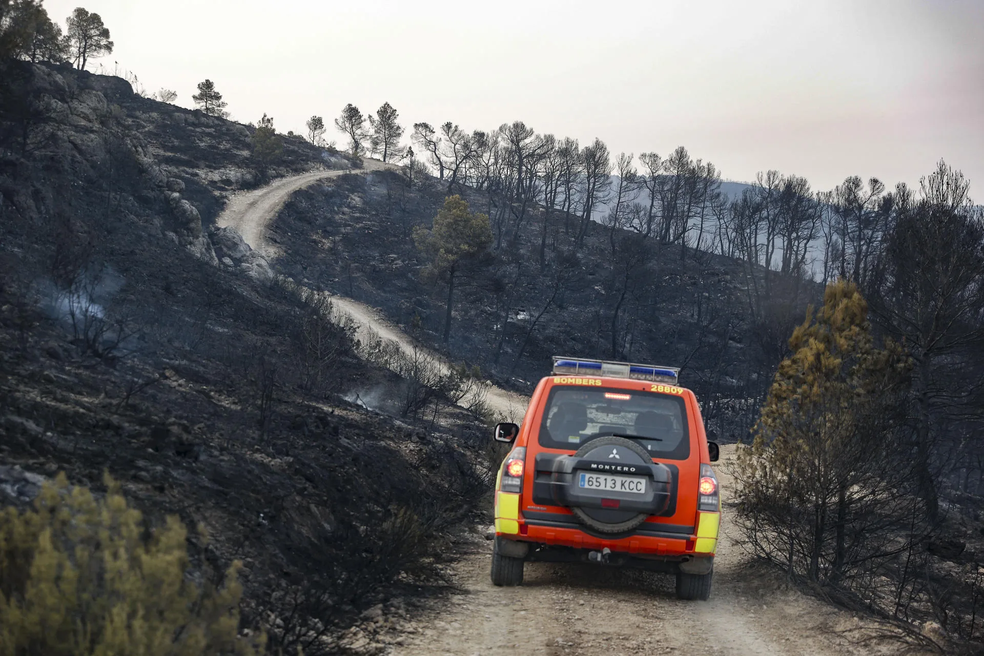 Incendio forestal en Teresa de Cofrentes (interior sur de Valencia), en una imagen del 14 de agosto de este año. EFE/Manuel Bruque
