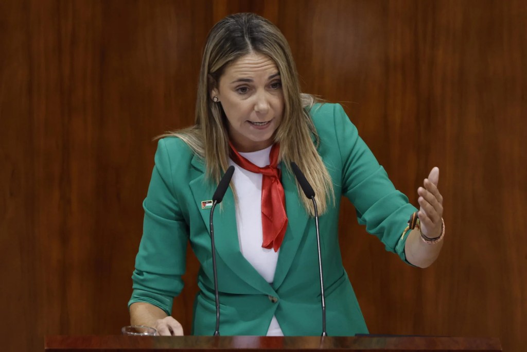 La portavoz del PSOE, Mar Espinar, interviene durante la segunda sesión del debate del estado de la región en la Asamblea de Madrid este viernes.  EFE/Sergio Pérez

