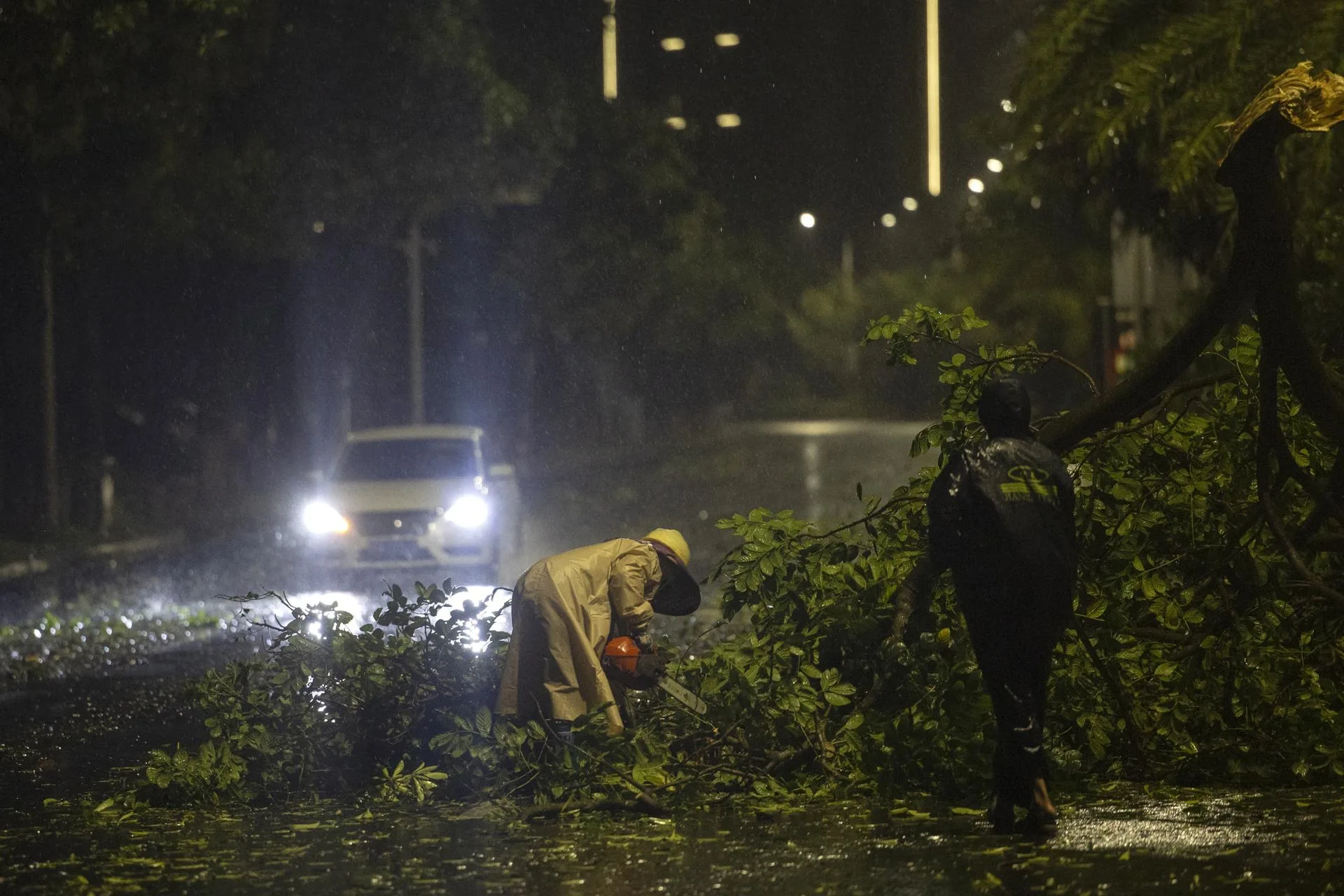 Workers clear a fallen tree branch from a road amidst the passage of Typhoon Ragasa in Maoming, Guangdong province, China, 24 September 2025. EFE-EPA/ANDRES MARTINEZ CASARES