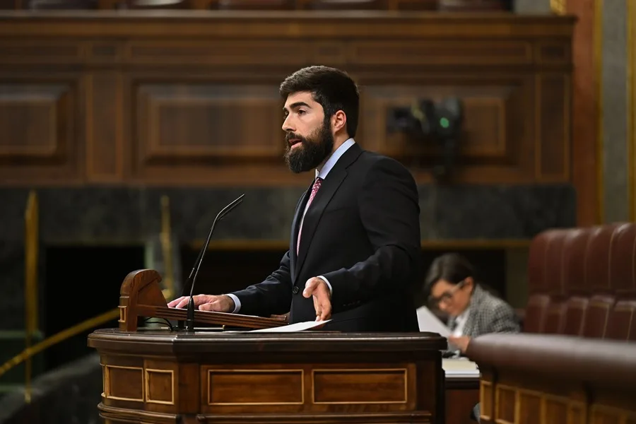 El diputado de Vox Manuel Mariscal.