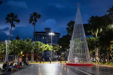Fotografía que muestra un árbol de navidad en Caracas (Venezuela). EFE/ Ronald Peña R