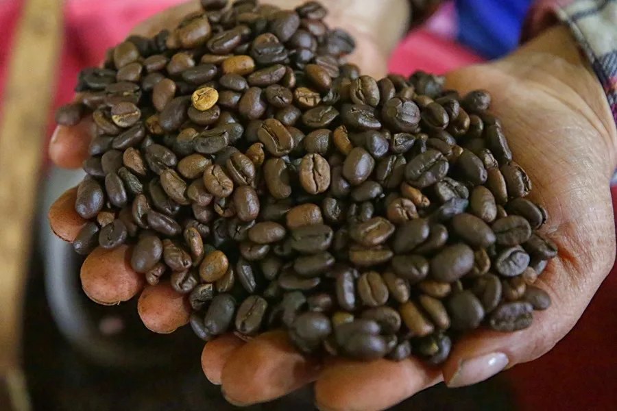 Colombia registra récord de exportaciones de café por 5.400 millones de dólares en un año