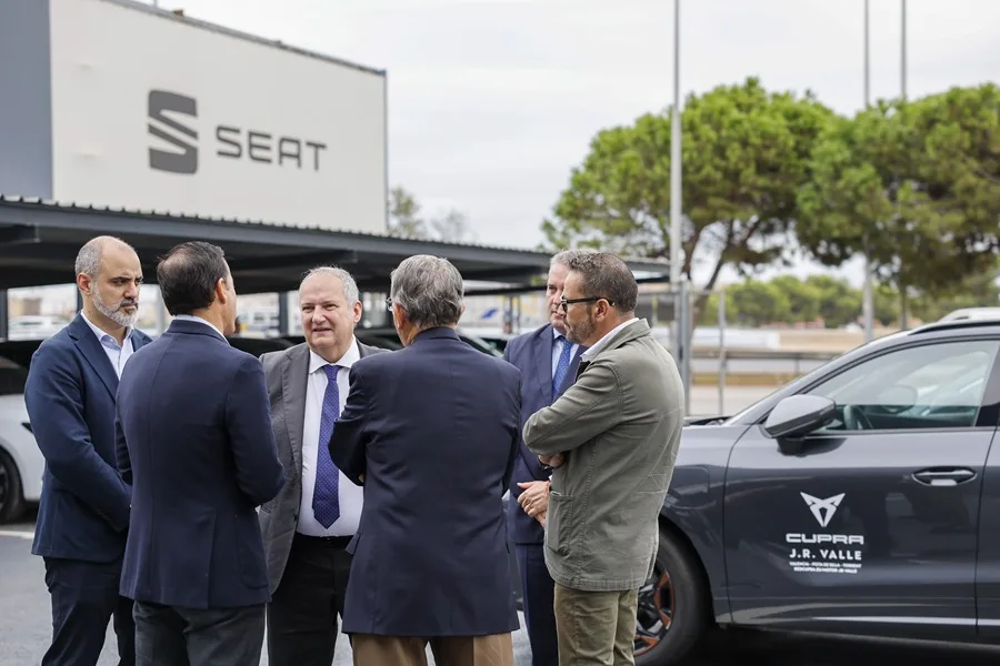 AYUDAS VEHICULO ELECTRICO 