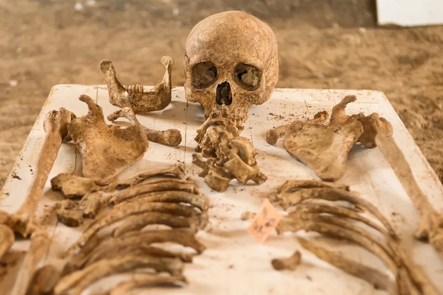 fosas comunes identificación cuerpos familiares