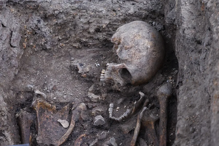 fosas comunes identificación cuerpos familiares