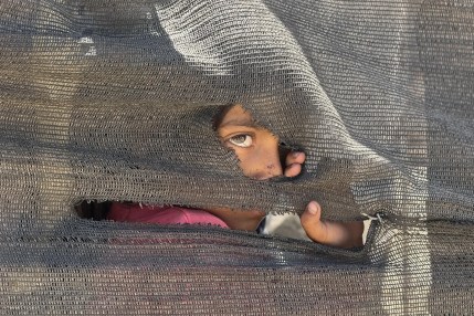 Dos años de guerra en Gaza, en cifras