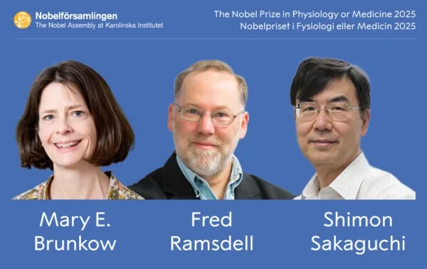El Premio Nobel de Medicina o Fisiología 2025 es para Mary E. Brunkow, Fred Ramsdell y Shimon Sakaguchi "por sus descubrimientos relacionados con la tolerancia inmunológica periférica".