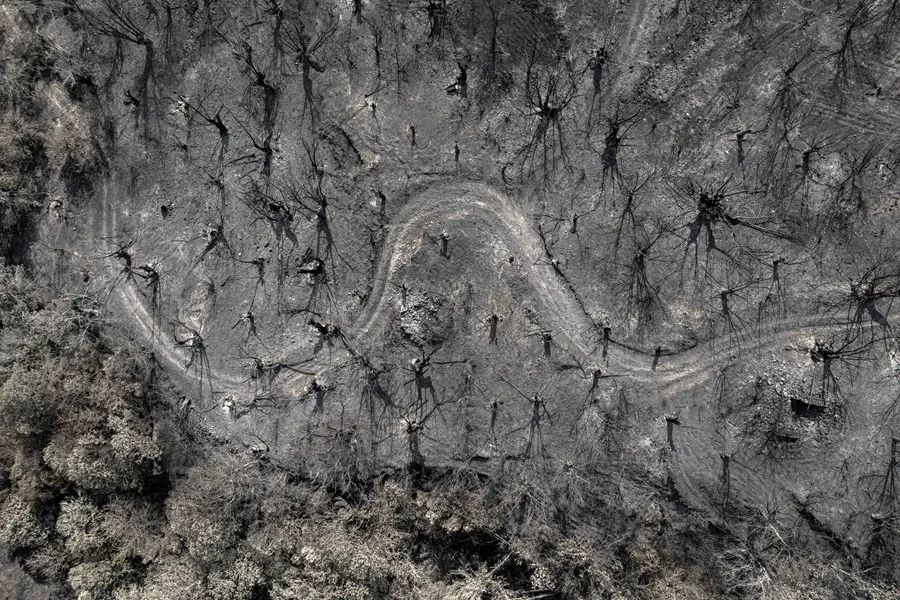 Superficie calcinada por el peor incendio de la historia de Galicia, el de Larouco (Ourense)