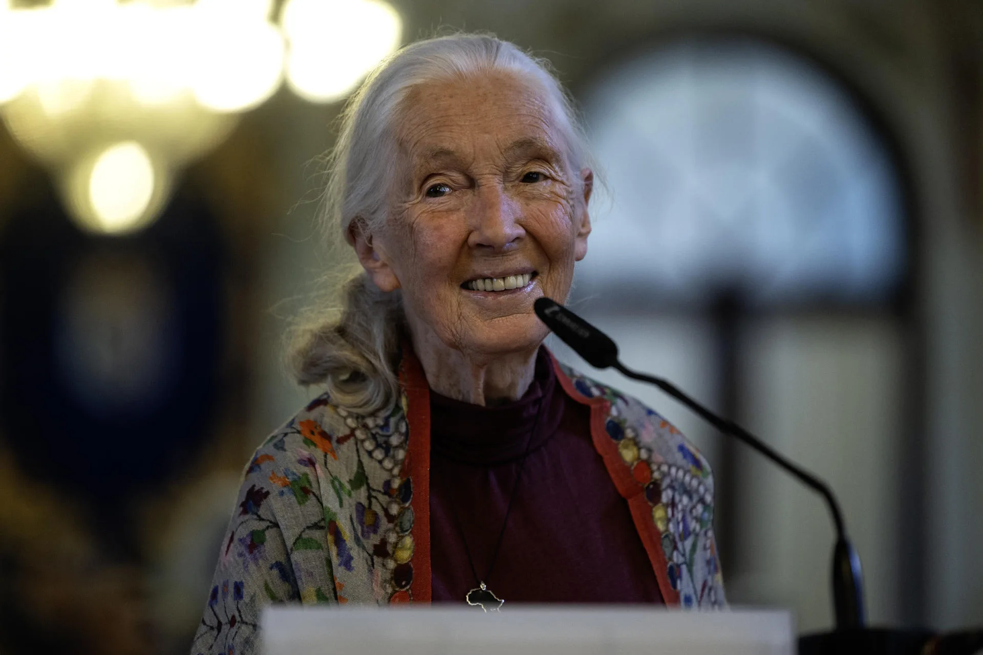 (FILE). Ethologist Jane Goodall in the Hall of Mirrors at Málaga City Hall before delivering her lecture, Hope in Action. May 02, 2025. EFE/Jorge Zapata.
