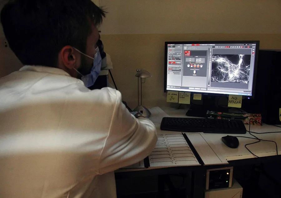 NEUROLOGIA TECNOLOGIA